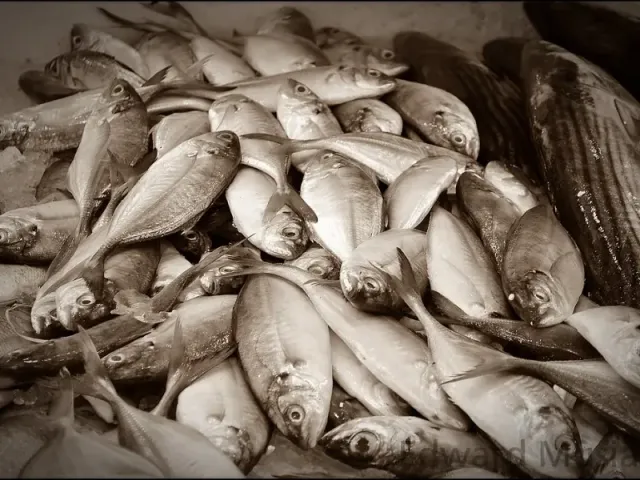 Poissonnerie de Tampouy