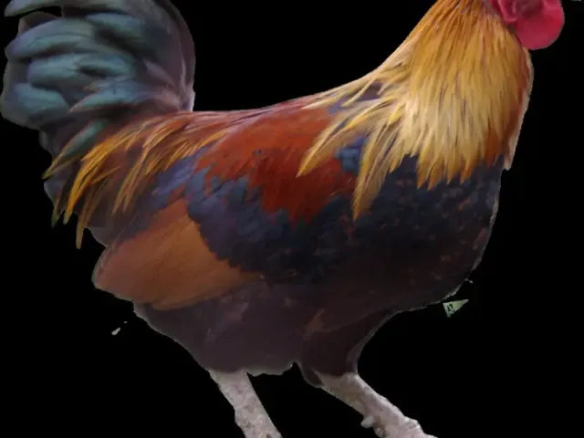 Ferme Baraka