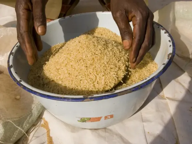 Riz local